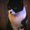 hiroaki_t