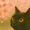 まねきねこ♪