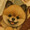 ユーザーのアイコン画像