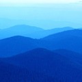 nmsjca