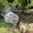 mount940
