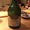 chouchou_lieu