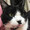 ダバドン