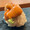 rokomoko♪♪