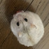 チュウちゃんママ