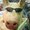 ユーザーのアイコン画像