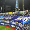 no baystars,no life