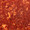 monom842