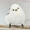 ぴよころりぃむ