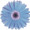bleu0066