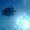 cocco0919