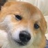 とてゆう