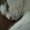 jack0707