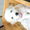 ユーザーのアイコン画像