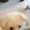fuku_629766