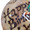 Hope2751