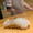 maki…