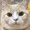 ユーザーのアイコン画像