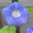 kazu_0924