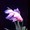 msktk0617