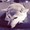 nozo0266