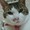 ユーザーのアイコン画像