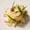 hashi1216