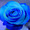 hkrblue