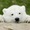 りんたろう