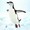 空跳ぶペンギン