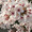 Sakura0125