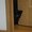 とまとら