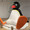ペンギン鍋