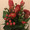 lady-703