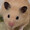 タクちゃん.com