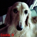 Cookie0307