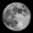 nonbede_go31066