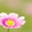 おはよウナギ