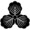 takak340396