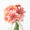 百花Momoka