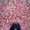 mayur77