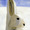 くるりんぱ