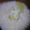 Chalmes-高飛車OL-
