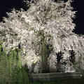 Apple0502