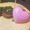 wasaw485