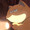 wdyk668