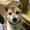 ユーザーのアイコン画像