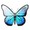 you.y559