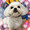 toshi934700