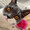 maru.nyan